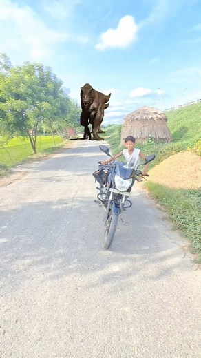 14K views · 129K reactions | Big dinosaur attack T-Rex chasing #dinosaur #jurrasicworld #jurrasicpark #monster | Rehan Alam | Facebook