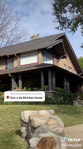 David Hopping on TikTok