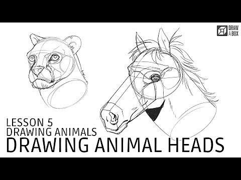 Drawabox Lesson 5, Drawing Animals: Drawing Animal Heads