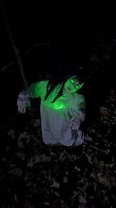 I turned my woods into a haunted forest  | Evan Era | Facebook