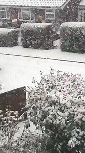 335K views · 3.9K reactions | Snowing in Staffordshire! Sent in by Manda Mullock. Make sure to follow our page for snow updates. Like our page for snow updates UK Weather Forecasts. You can also checkout the latest snow forecast charts: https://www.realweather.co.uk/snow-charts/ | UK Weather Forecasts | Facebook