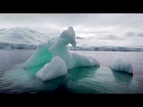 Antarctica gives birth to world’s largest iceberg
