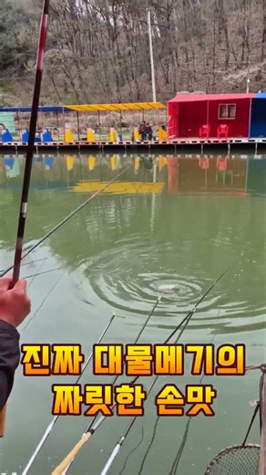 용면 메기낚시터 대개장