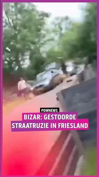 Better a good neighbor than a distant friend? 😅 #pownews #powned #npostart