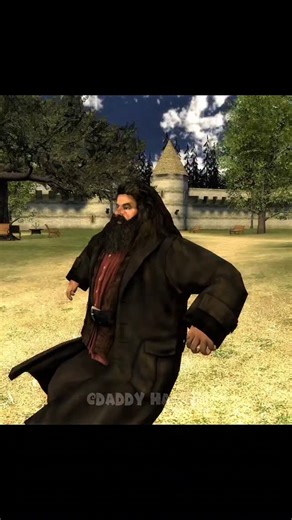 Daddy Hagrid on Instagram: "WAGWAN HERMIONE🇯🇲 #harrypottermemes #hermione #dobbythehouseelf #harrypotterfunny #daddyhagrid"