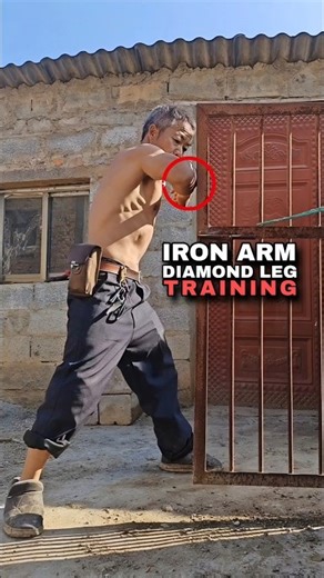 DIAMOND Legs Kung Fu - Iron Kicks & Iron Arms Conditioning #kungfu