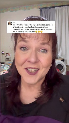 Has your cat trained you? #thecatbehaviorist #catproblems #catlover #catbehaviour #the_catbehaviorist | The Cat Behaviorist