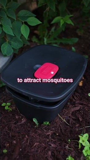 If you hate mosquitos, watch this...