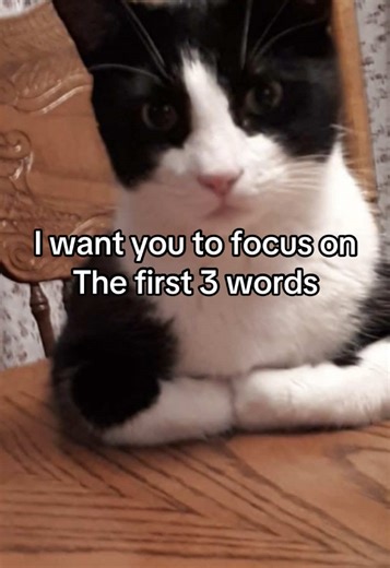 Understanding the First Three Words in Relationships