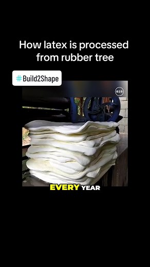 Understanding the Process of Extracting Natural Rubber from Rubber Trees