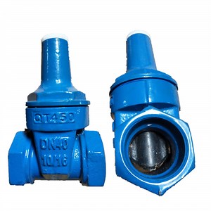 [Hot Item] High Quality Gate Valve Cast Iron with Lock Gate Valve for Water