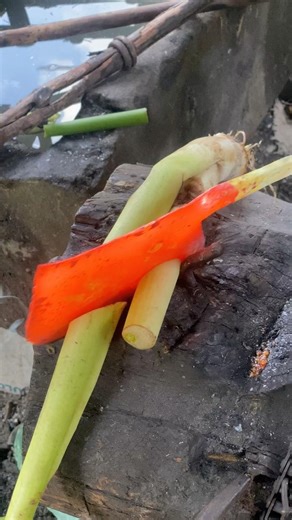 see how a craftsman's workshop works in making (tajak) a tool for grazing