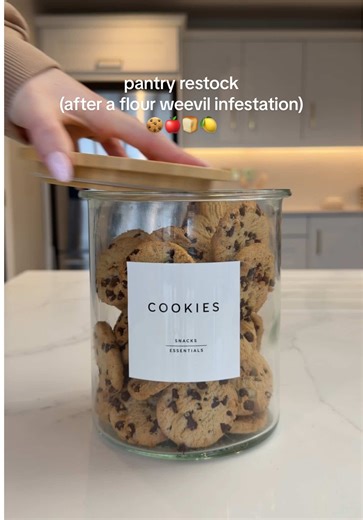 Big Pantry Restock After Weevil Infestation