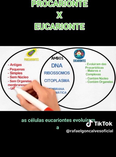 Diferenças entre Células Eucariontes e Procariontes