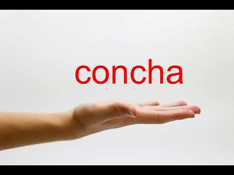 How to Pronounce concha - American English