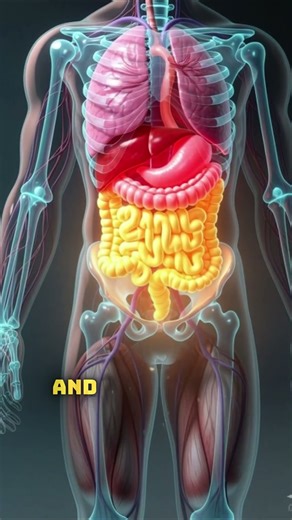 What Happens When You Stop Eating Fast Food | The Body Changes Fast