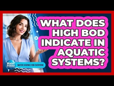 What Does High BOD Indicate in Aquatic Systems?