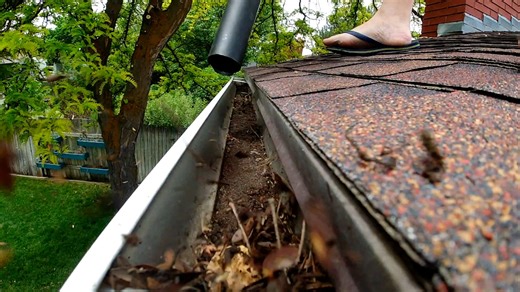 Fall Yard Checklist: Seed, Clean, Decorate