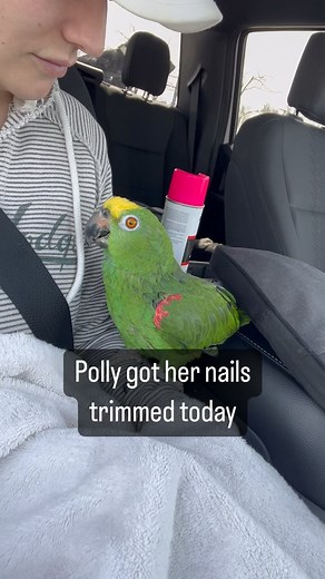 The Parrot Lady on Reels