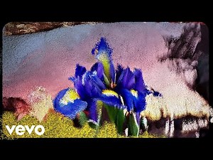 Ed O'Brien - Santa Teresa