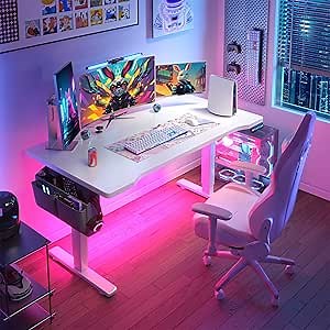 EnHomee Office Gaming Desk with LED Lights,48 x 24 Inch Height Adjustable Office Computer Desk with 3 Memory Preset,Gaming Electric Standing Desk with Storage Side Pocket and Cable Management,White