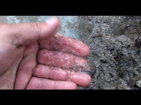 How to Stop Leaking Dam or Pond Easy & Low Cost