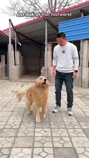 Day 1 of interrupting shorts with YouTube’s extend with ai. #shorts #extendwithai