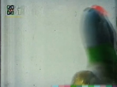 1997年金格川谷VCD