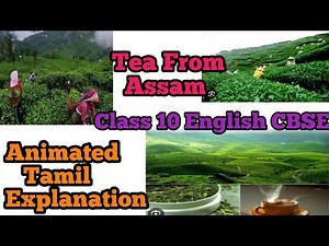 Glimpses of India Part 3 Tea from assam Class 10 CBSE English