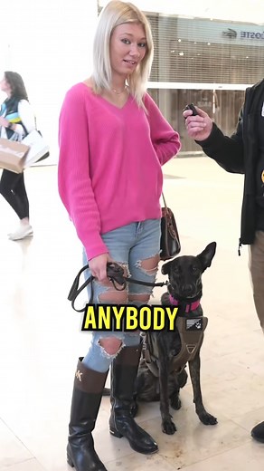 Is the Dutch Shepherd Right for You #dog #dutchshepherd #dogs #puppy #dogmom #doglover #dogtips #dogtrainingtips #tricksandtips #dogtraining #dogtrainer #fyp | Pet Dogs