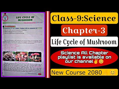Class-9 Science Chapter-3 All Exercise 2080✅ || Life Cycle of Mushroom || Science Guide 2080..❤️‍🔥