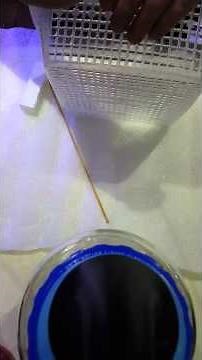 How to make an Anemone basket