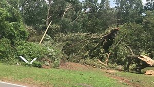 More damage on Preddy Creek in Greene County. | CBS19 News: Charlottesville News First