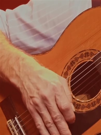 Дідюля: Фьюжн Звуків на Концерті