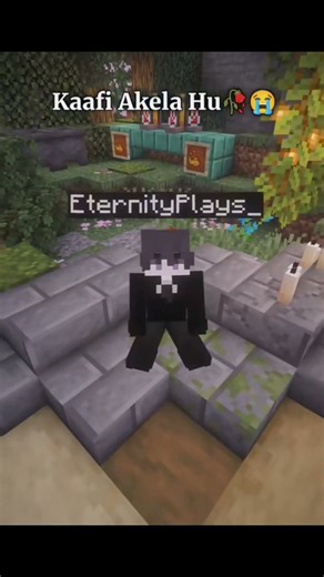 one sentence and two meaning in Minecraft we made two meanings #mine crafting #minecraft