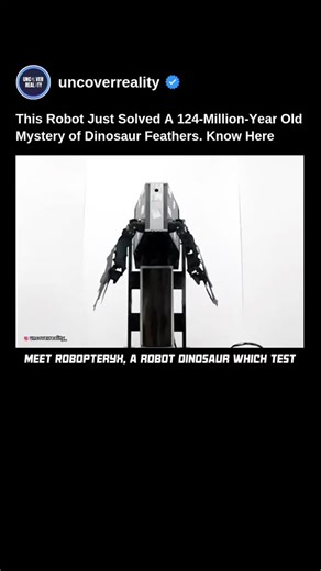 Uncover Reality | From Science to Space on Instagram: "Robopteryx: How Dinosaurs Flapped Feathers to Scare Prey Dinosaurs were once thought to be scaly “terrible lizards,” but fossil discoveries over the past three decades revealed many had feathers. Since many feathered dinosaurs could not fly, scientists have long puzzled over why feathers first evolved. A new study from Seoul National University offers a fresh answer: dinosaurs may have used feathers to flush out prey. Researchers built a rob