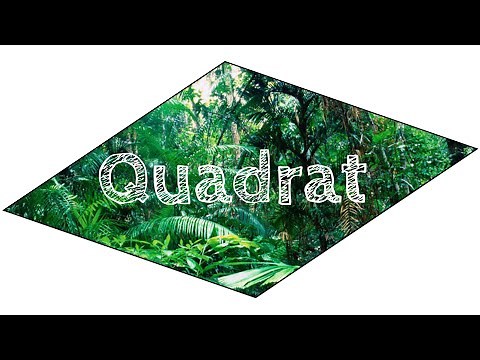 How to make a QUADRAT