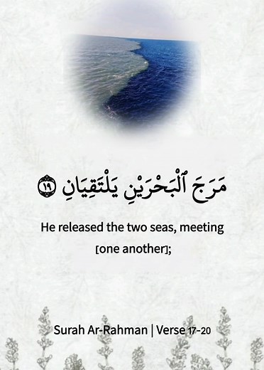 Surah Ar-Rahman Recitation by Shaikh Sudais