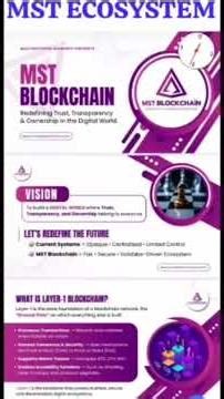 MST Blockchain Lifetime Node Validator Opportunity