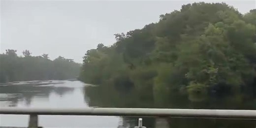LOOK: Elevated water levels at the Little Pee Dee River from Debby