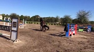 So here’s the plan: You go left, I go right and we meet at the barn 😂💚🐴🙈 Like and share in order to win a landing lesson from The German Riding Instructor 😎😎😎 | German Riding Instructor