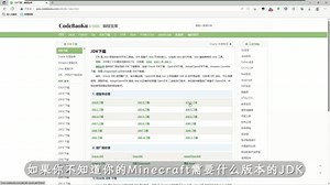 Java JDK 全版本国内站下载