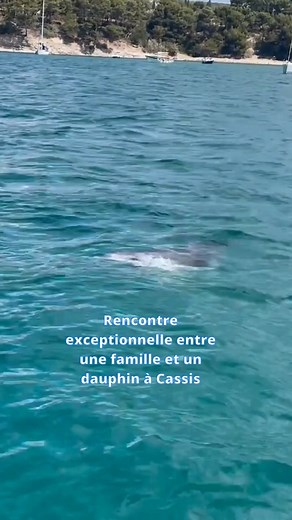 1.7M views · 44K reactions | Hier une famille marseillaise a nagé...