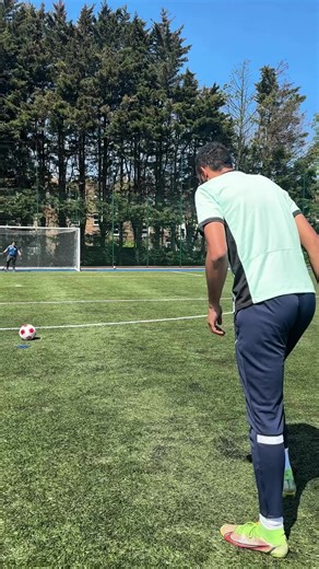 True Football Fans: Appreciating the Game