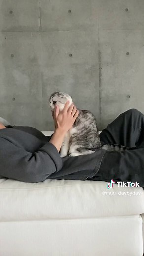 2022年、むーくんの動画で何が一番好きでしたか？☺️ TikTok始めて約半年間、優しい皆さんのおかげでむーくんと楽しく続けることが出来ました🐈‍⬛ いつもありがとうございます😽☺️ 来年もむーくんをよろしくお願いします！(おまけの飼い主も)#猫 #cat #猫のいる暮らし