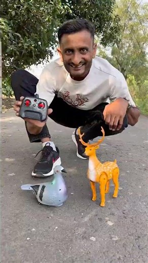 Dove And Giraffe Remote Vala Egg Putting