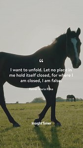 5K views · 41 reactions | ✨expansion and authenticity✨ | Insight Timer | Facebook