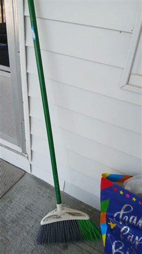 I found the real sweeping time #animation #animationmeme