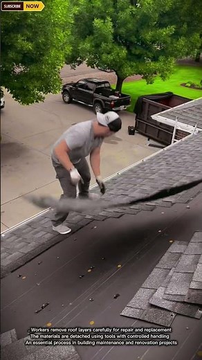 Workers Removing Roof Layers for Renovation and Safe Building Maintenance Work