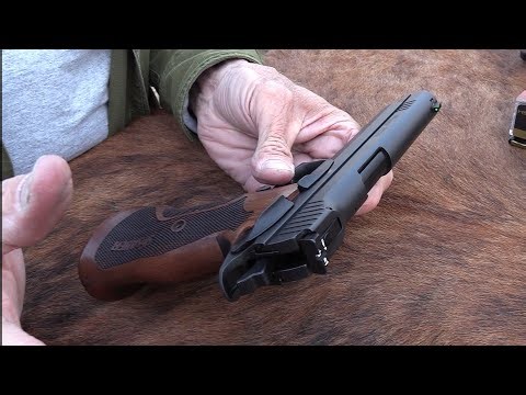 Is This The Best Pistol For Long Range Shooting?
